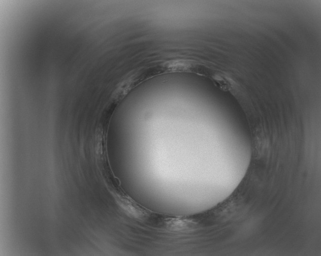 X0000059800379200511041633