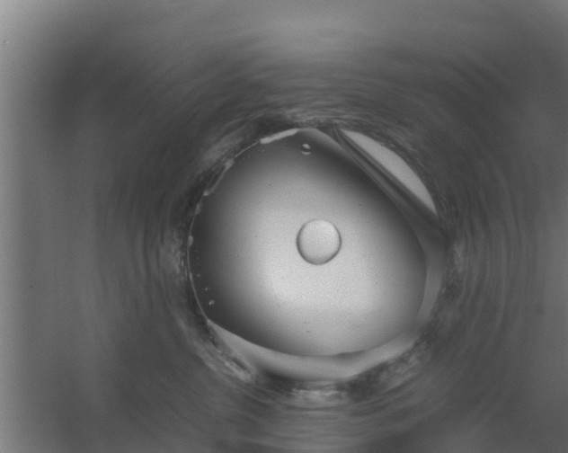 X0000059800380200511041633