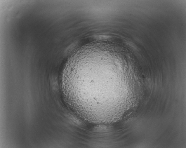 X0000059800381200511041633