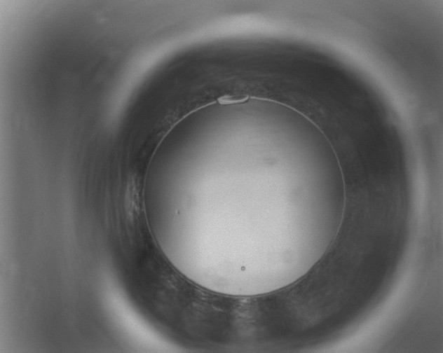 X0000059800382200511041633