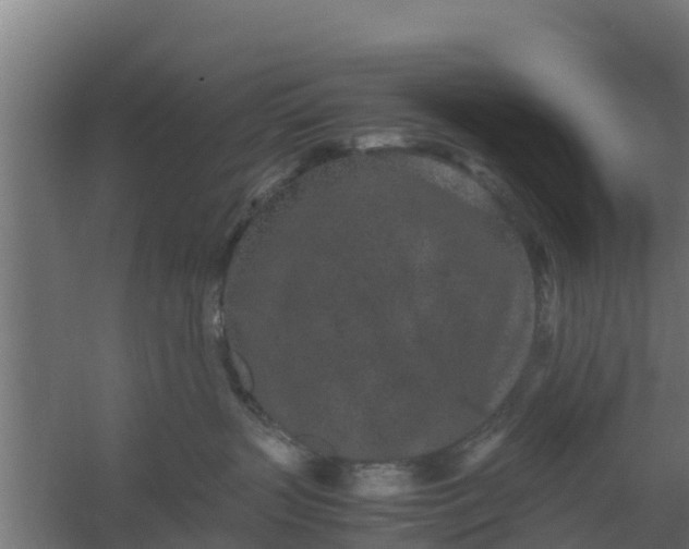 X0000059800383200511041633