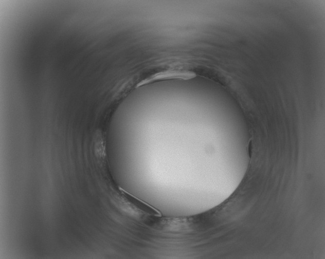 X0000059800384200511041633