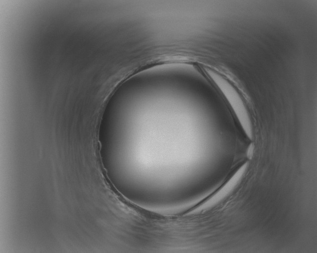 X0000059800385200511041633