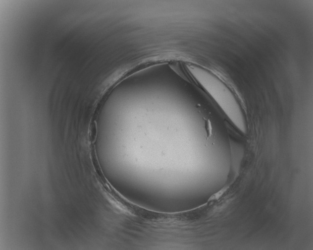 X0000059800389200511041633