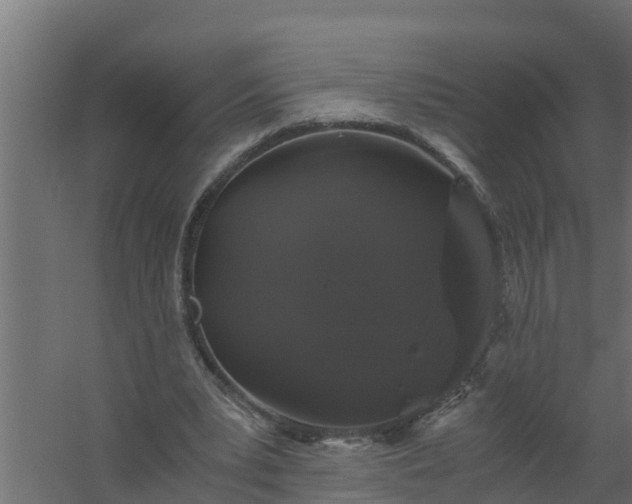 X0000059800391200511041633