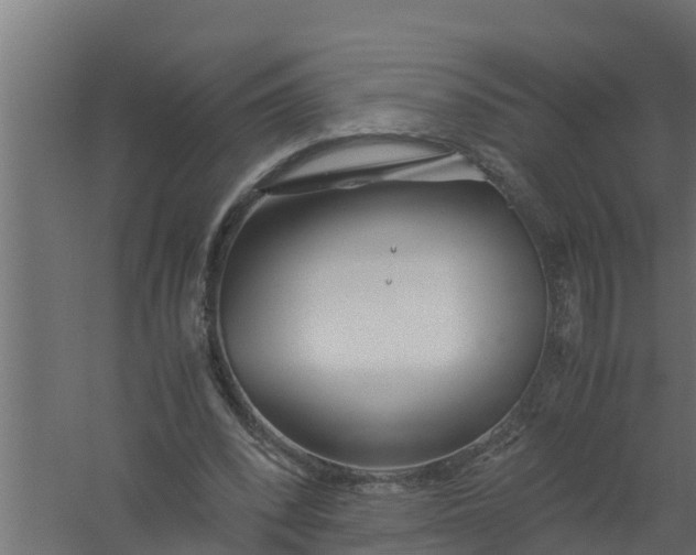 X0000059800392200511041632