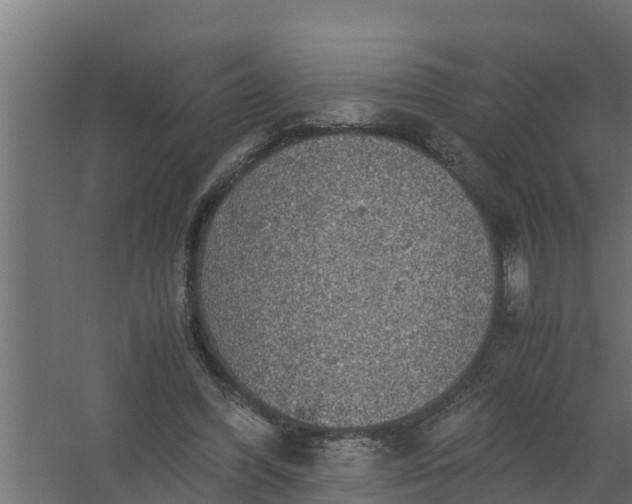 X0000059800396200511041632