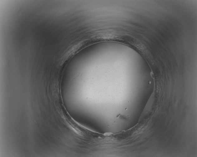 X0000059800397200511041632