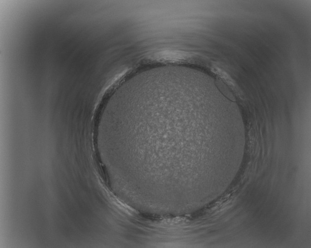 X0000059800399200511041632