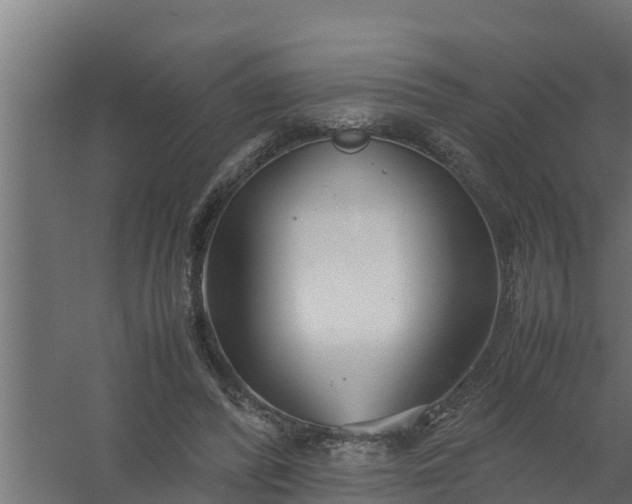 X0000059800400200511041632