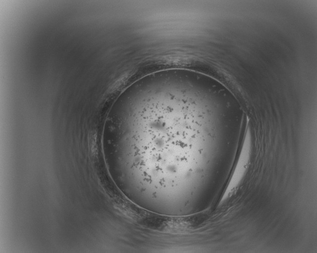 X0000059800403200511041632