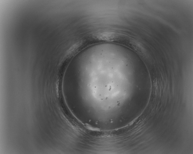 X0000059800404200511041632