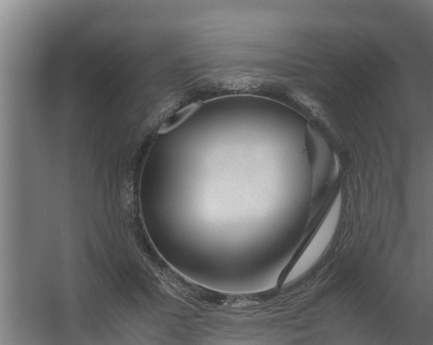 X0000059800407200511041632