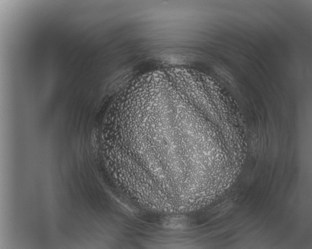 X0000059800410200511041632