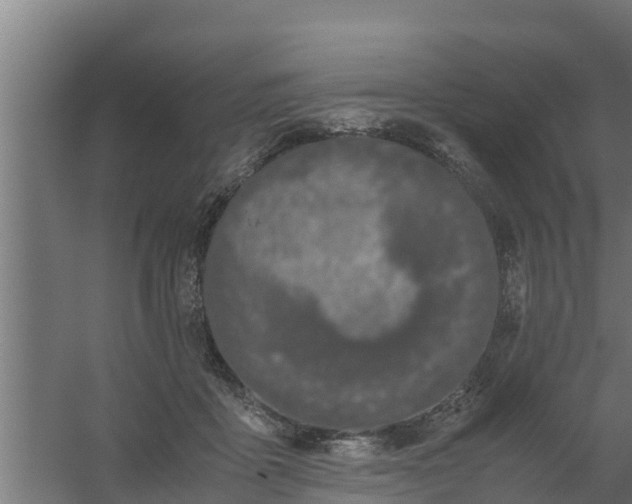 X0000059800411200511041632