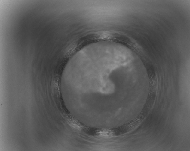 X0000059800415200511041632