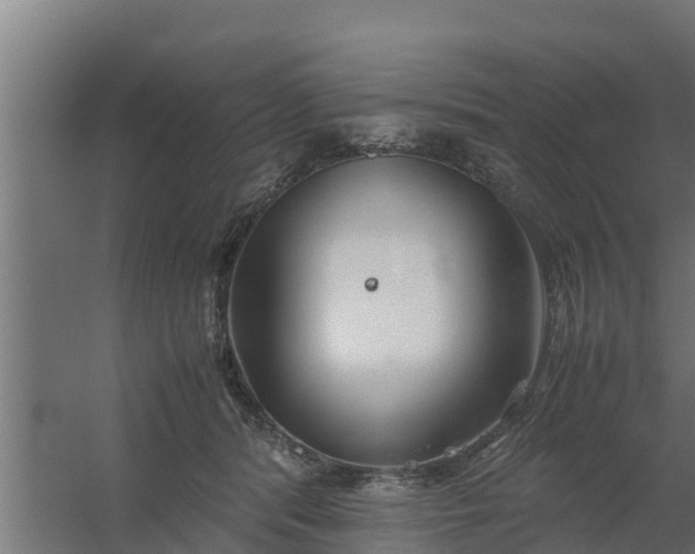 X0000059800416200511041632