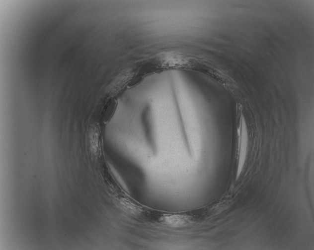 X0000059800417200511041632