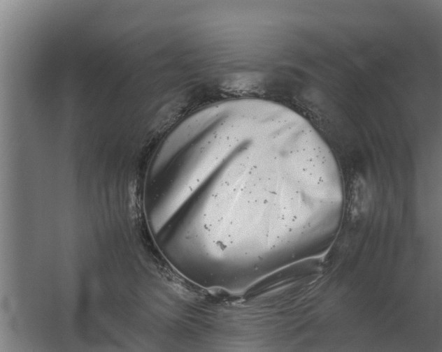 X0000059800420200511041632