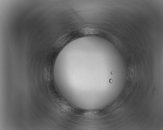 X0000059800422200511041632