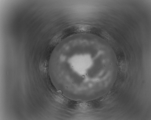 X0000059800423200511041632