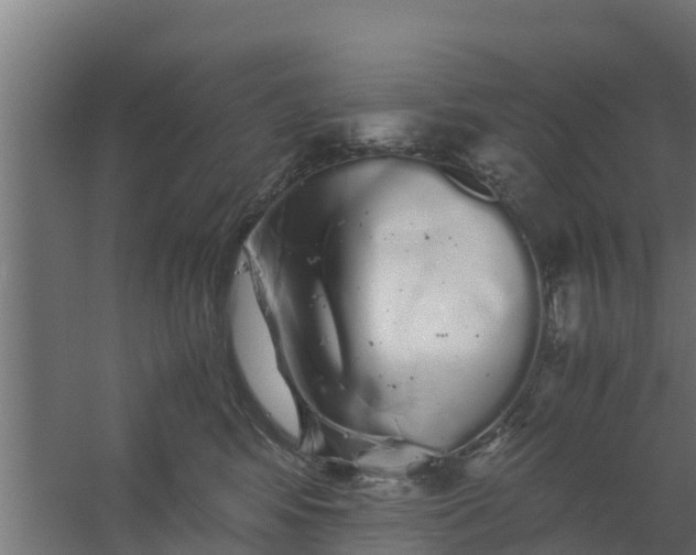 X0000059800424200511041632