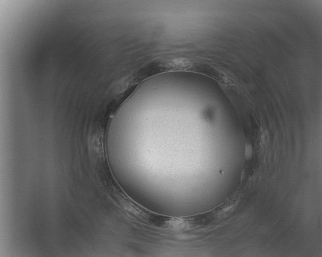 X0000059800425200511041632