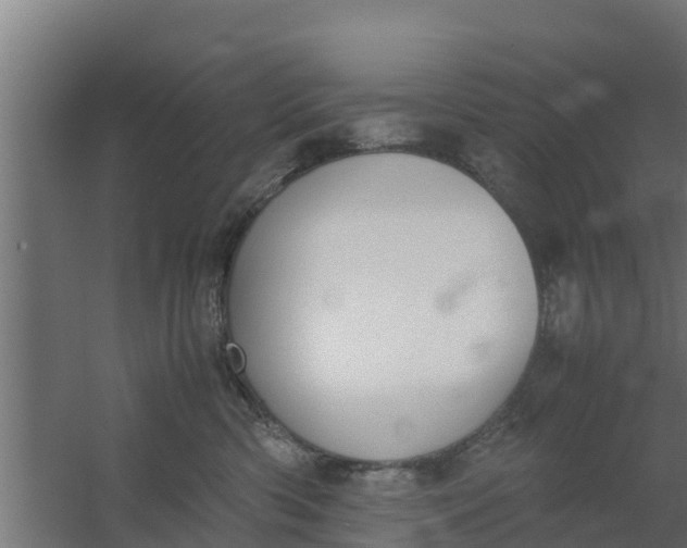 X0000059800426200511041632