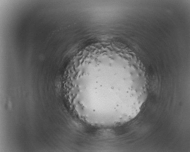 X0000059800427200511041632