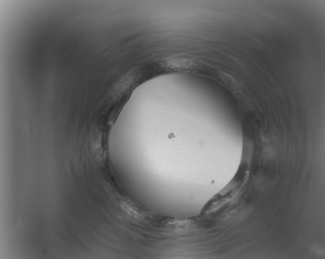 X0000059800428200511041632