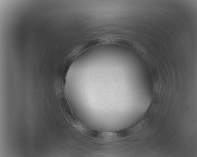 X0000059800429200511041632