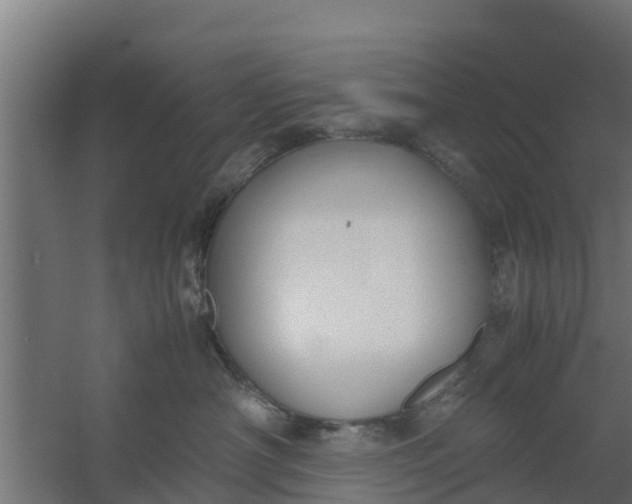 X0000059800430200511041632