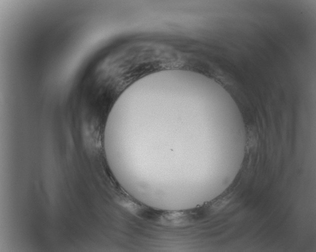 X0000059800431200511041632