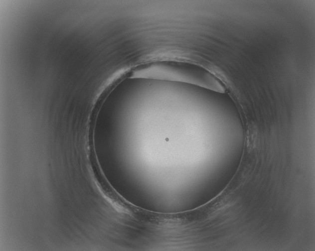 X0000059800438200511041631