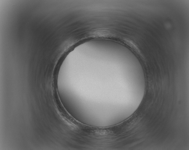 X0000059800439200511041631