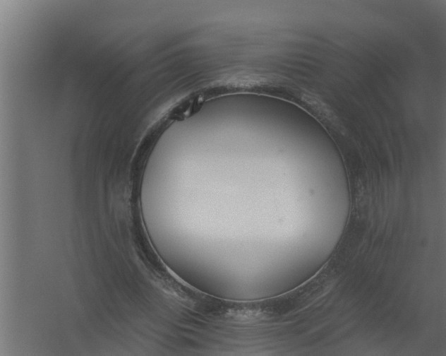 X0000059800440200511041631