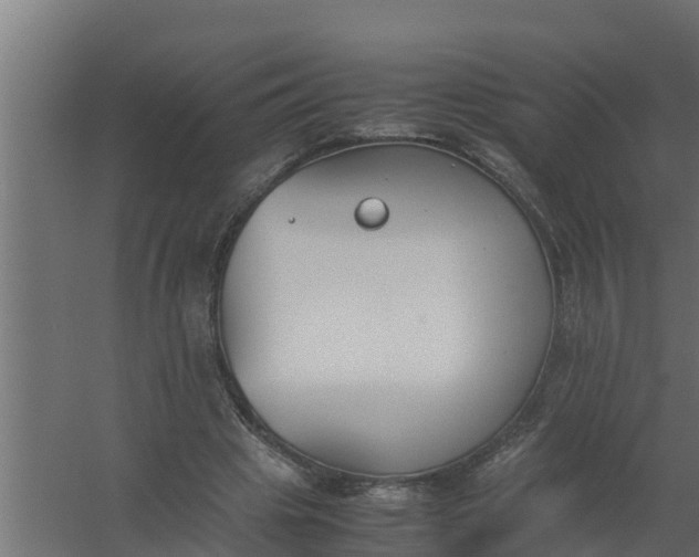 X0000059800441200511041631