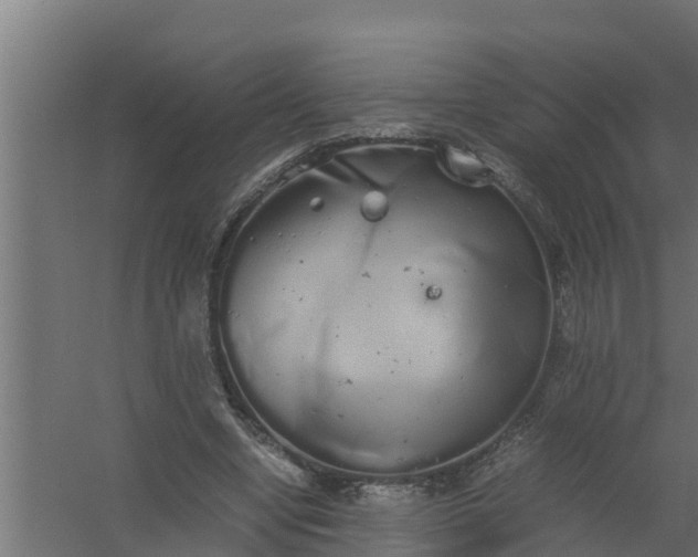 X0000059800442200511041631