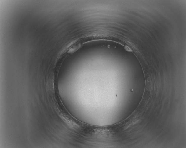 X0000059800446200511041631