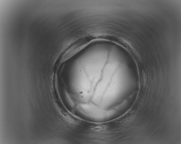 X0000059800447200511041631