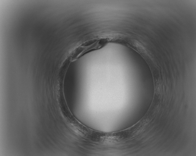 X0000059800448200511041631