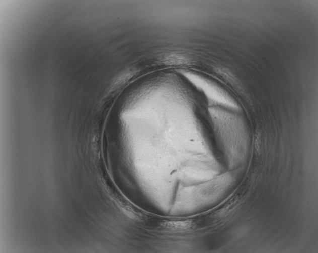 X0000059800449200511041631