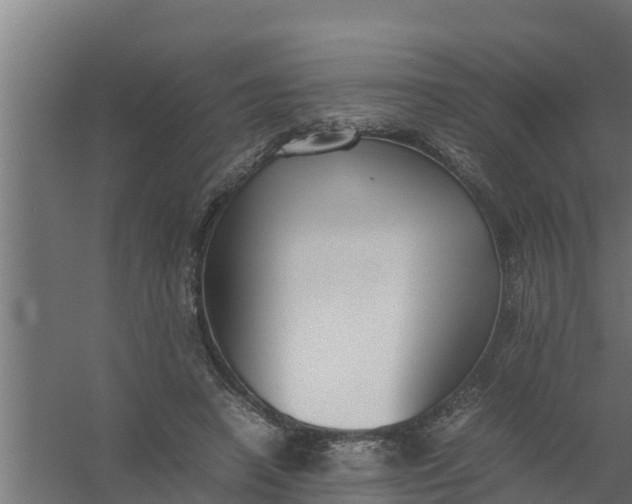 X0000059800450200511041631