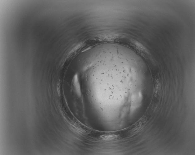 X0000059800452200511041631