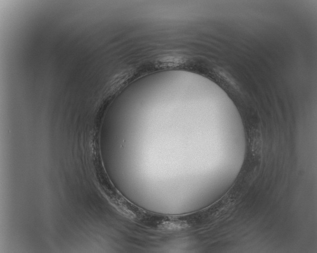 X0000059800455200511041631