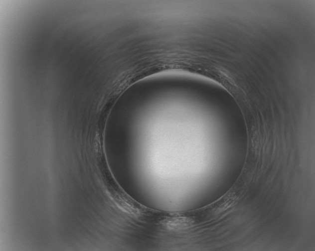 X0000059800459200511041631