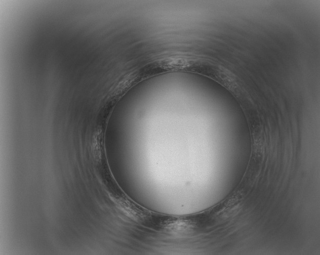 X0000059800460200511041631