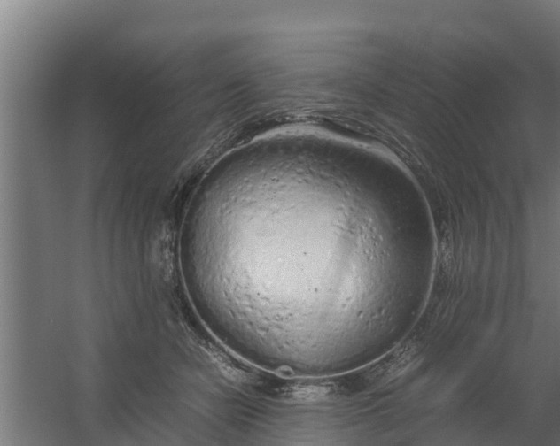 X0000059800462200511041631