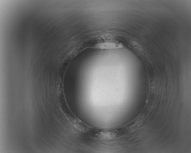 X0000059800464200511041632