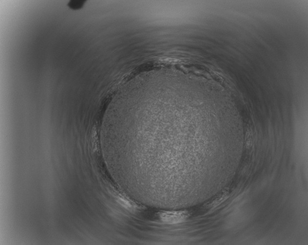 X0000059800465200511041632